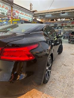 نيسان ماكسيما